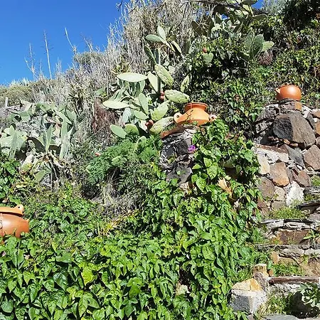 - Laendliches Haus, Pepita La De Flores Country house *